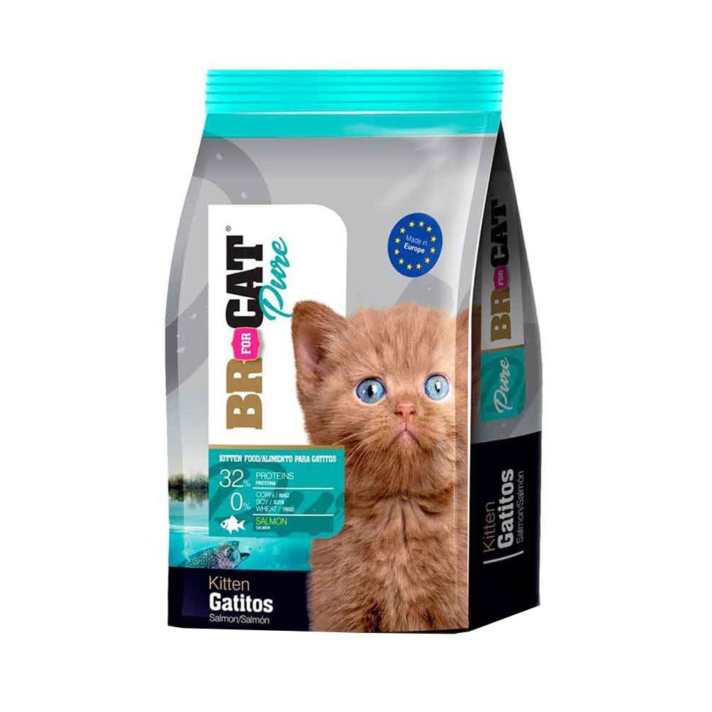 Br For Cat Gatitos Salmon