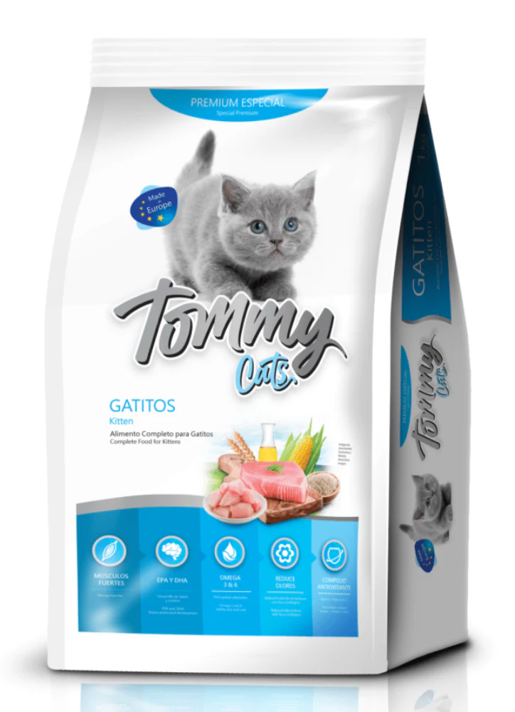 Tommy Cats Gatitos