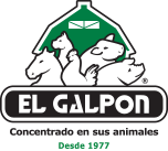 el galpon